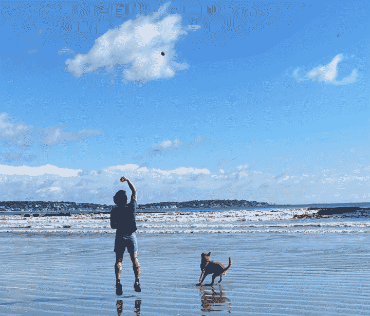 Low tide at Nahant Beach. Me throwing a ball up into the air and Dax bracing to chase.