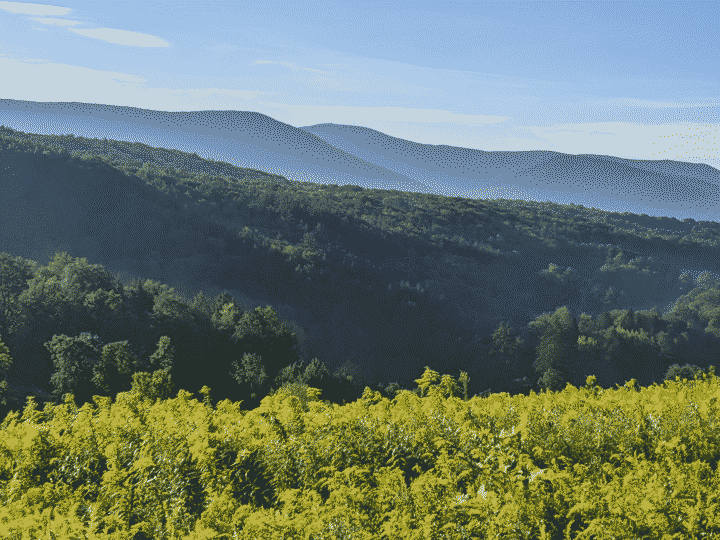 The rolling hills of the Northern Berkshires