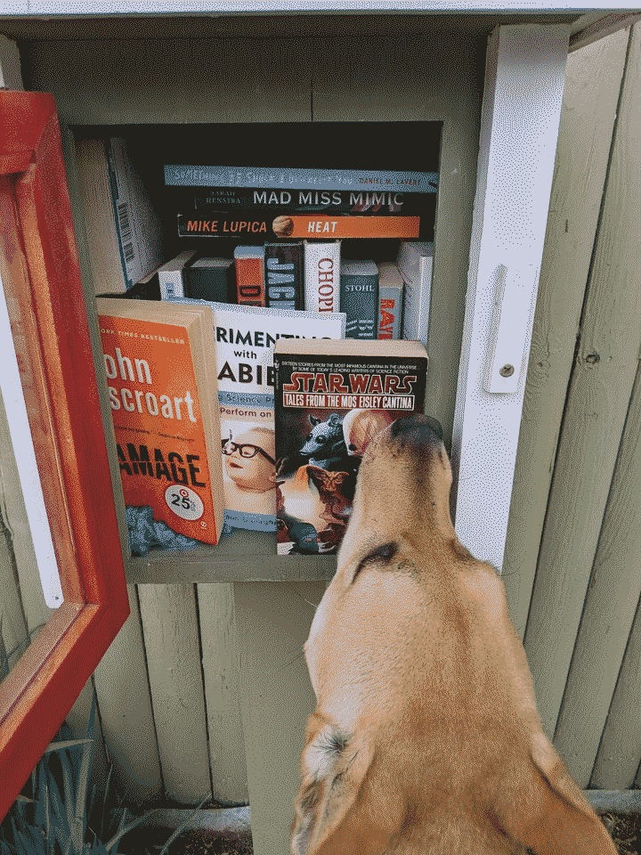 Daxter browsing the neighborhood library