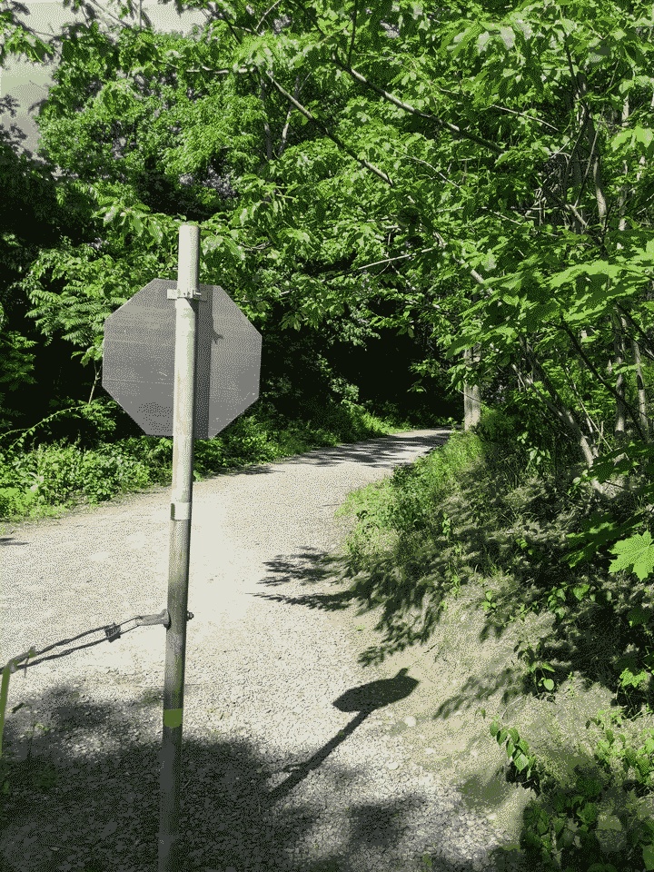 The path turns back in from the beach through Wyman Woods in Marblehead